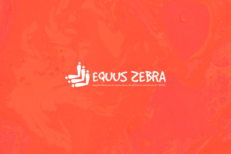 ONG Equus Zebra